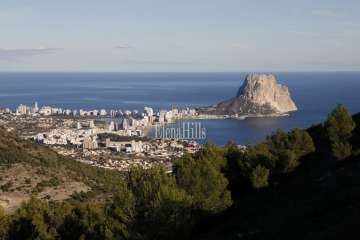 Vistas